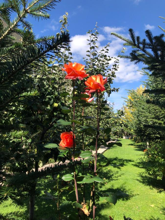 Отель Vila Panorama Воскопоя Экстерьер фото